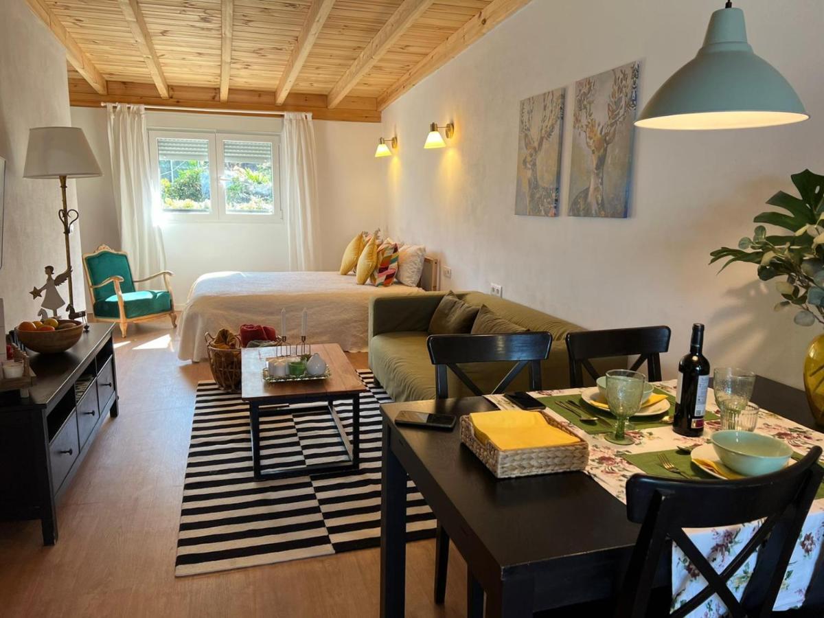 Casa Chano Estudio Confortable Tenerife Icod De Los Vinos Exteriör bild