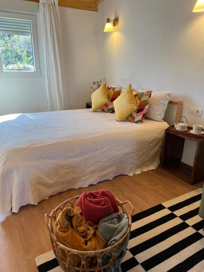 Casa Chano Estudio Confortable Tenerife Icod De Los Vinos Exteriör bild