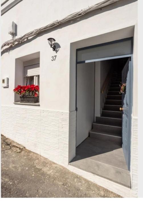Casa Chano Estudio Confortable Tenerife Icod De Los Vinos Exteriör bild